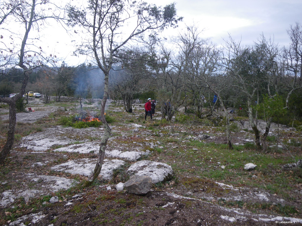 20100328_016