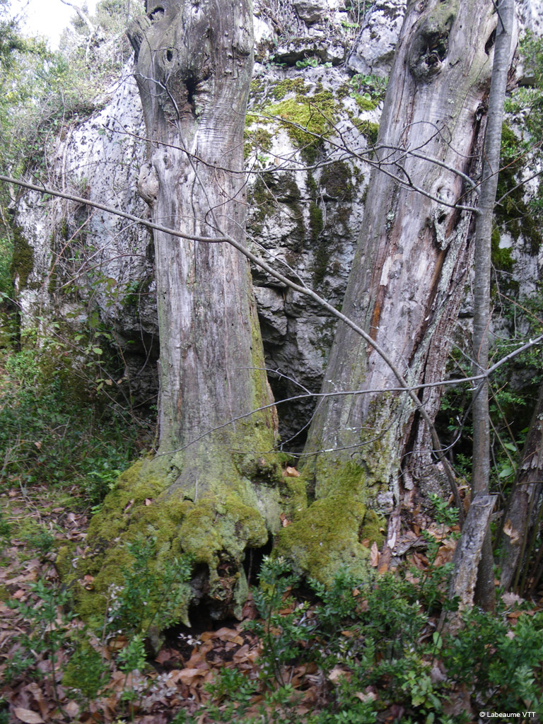 20100328_074