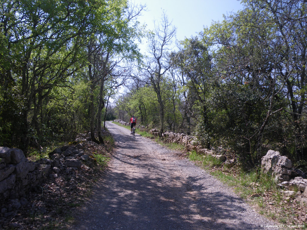 20100418_134