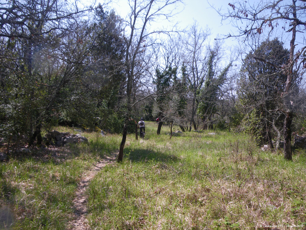 20100418_138