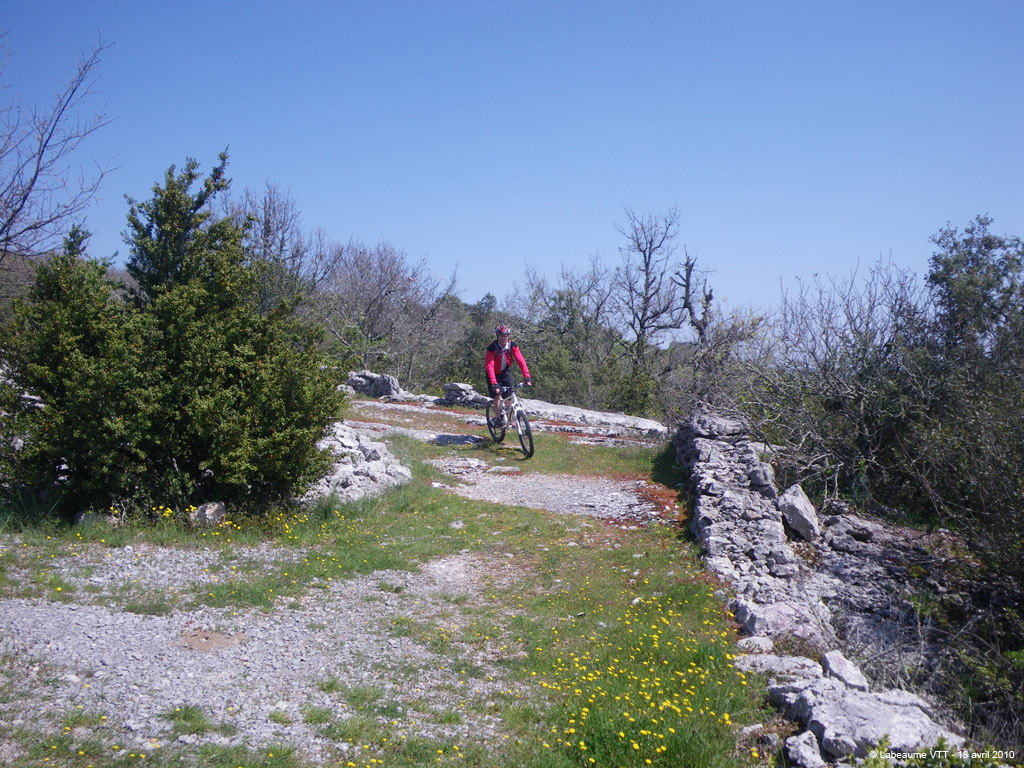 20100418_142
