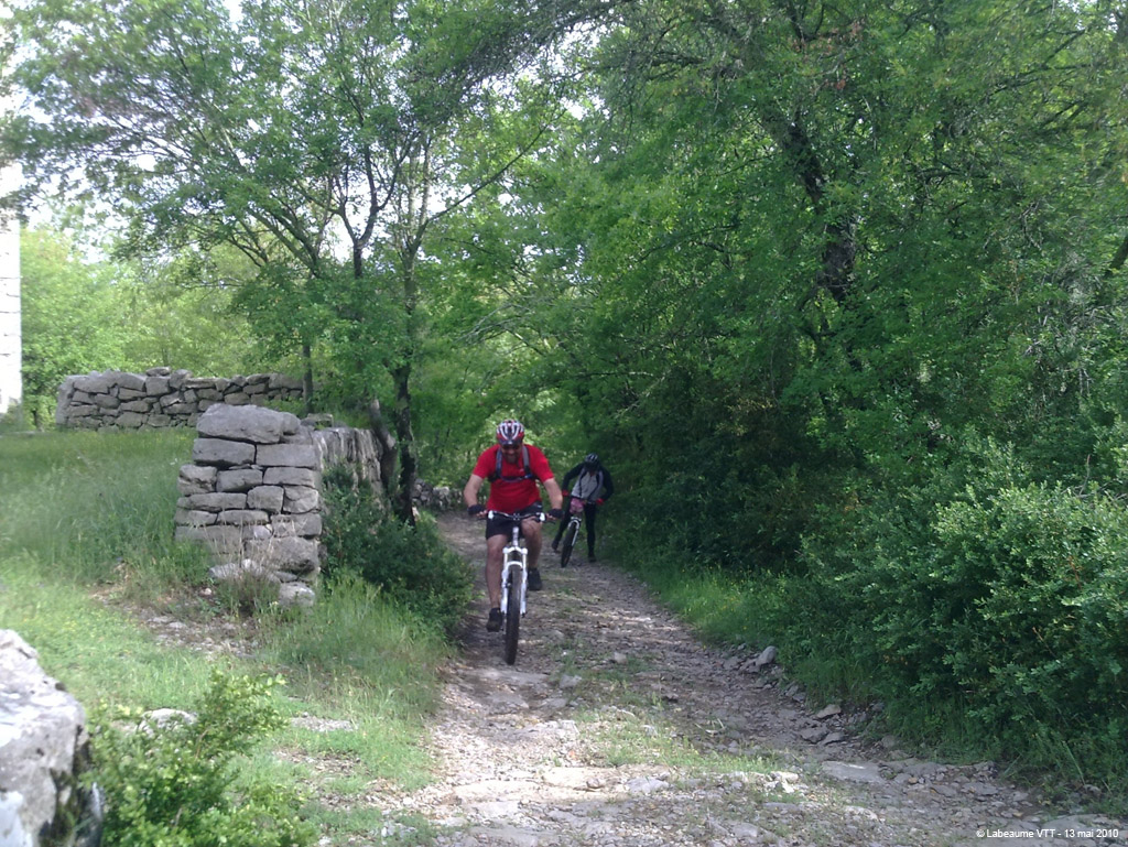 20100513_11