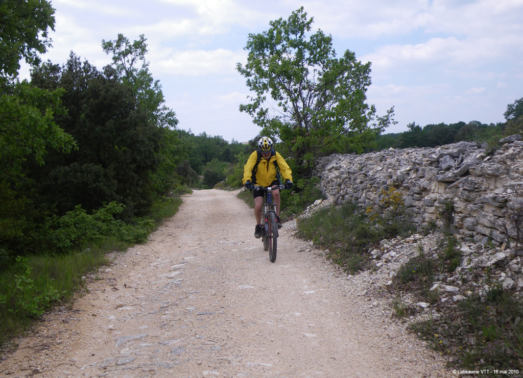 20100516_217