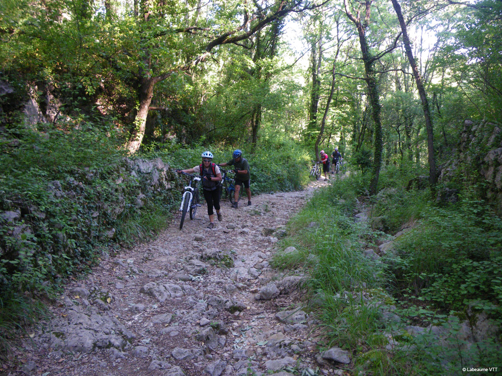 20100523_005