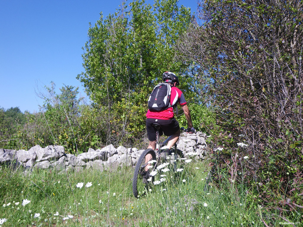 20100523_030