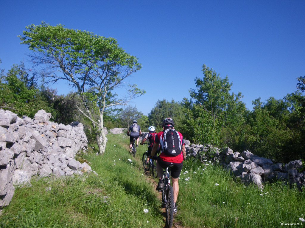 20100523_037