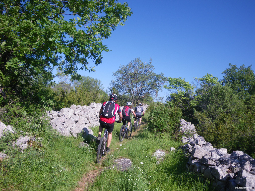 20100523_038