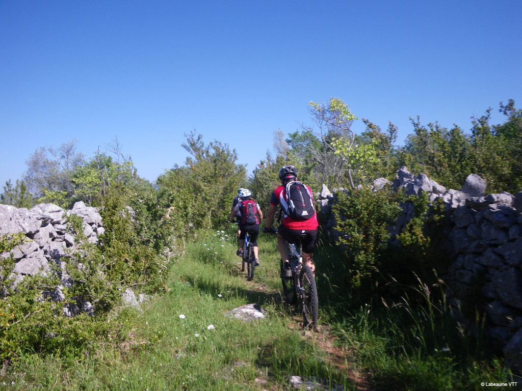 20100523_039