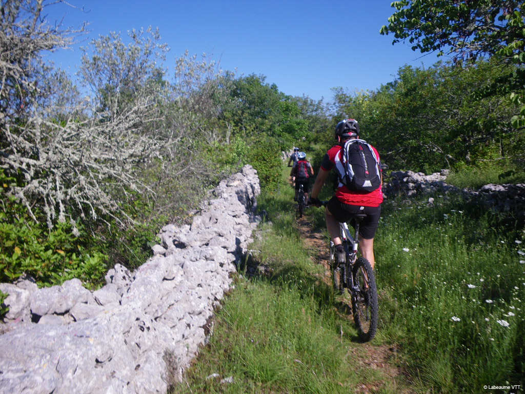 20100523_040