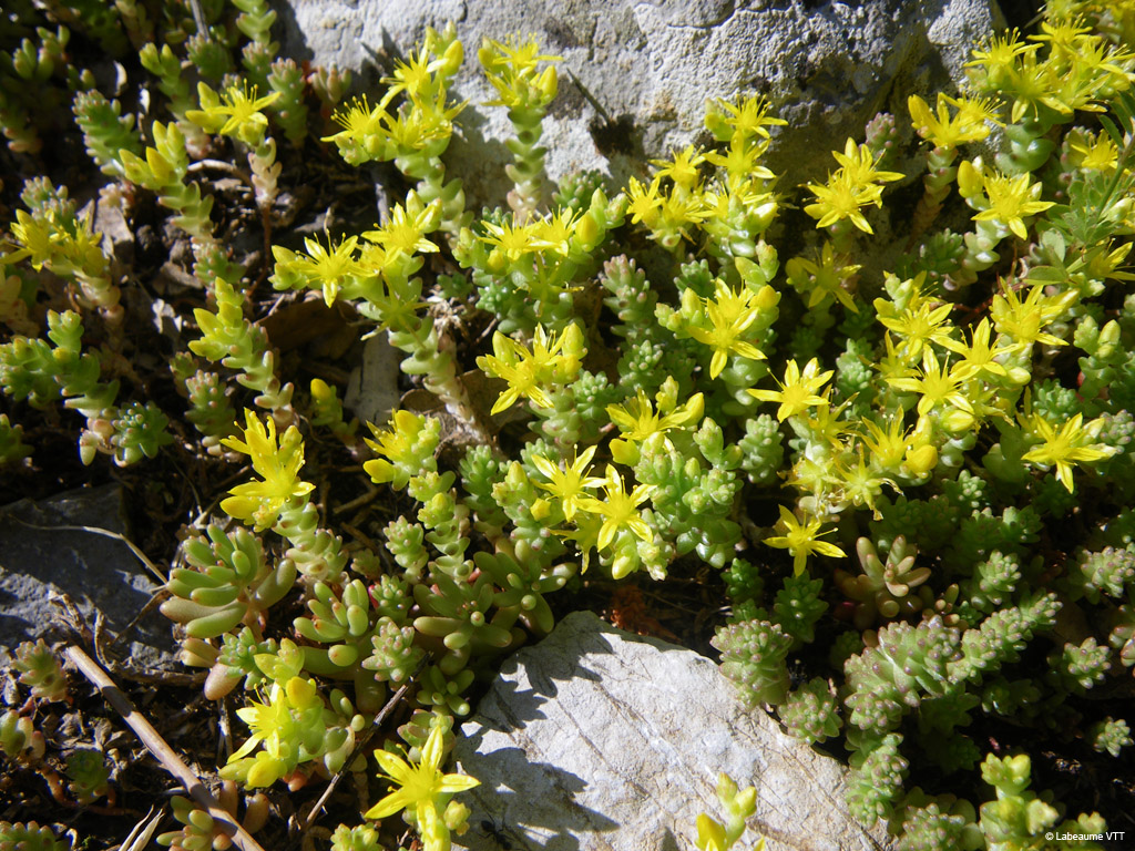 20100523_047