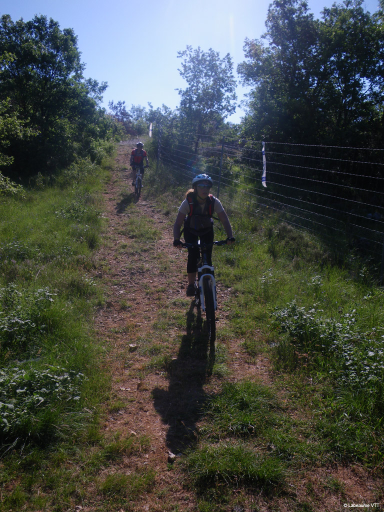 20100523_058