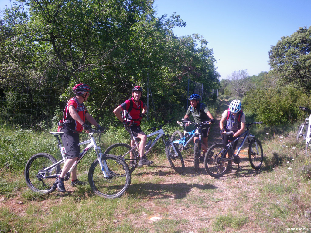 20100523_059