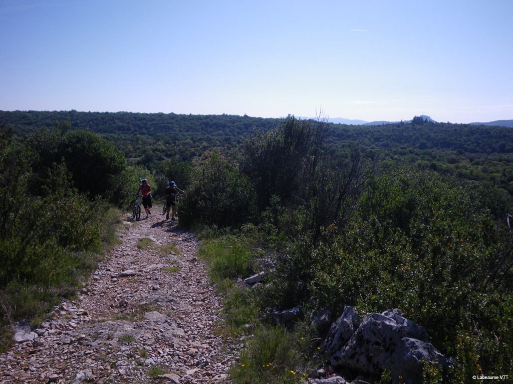 20100523_061
