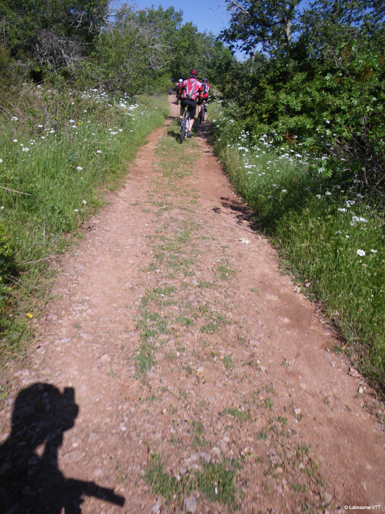 20100523_068
