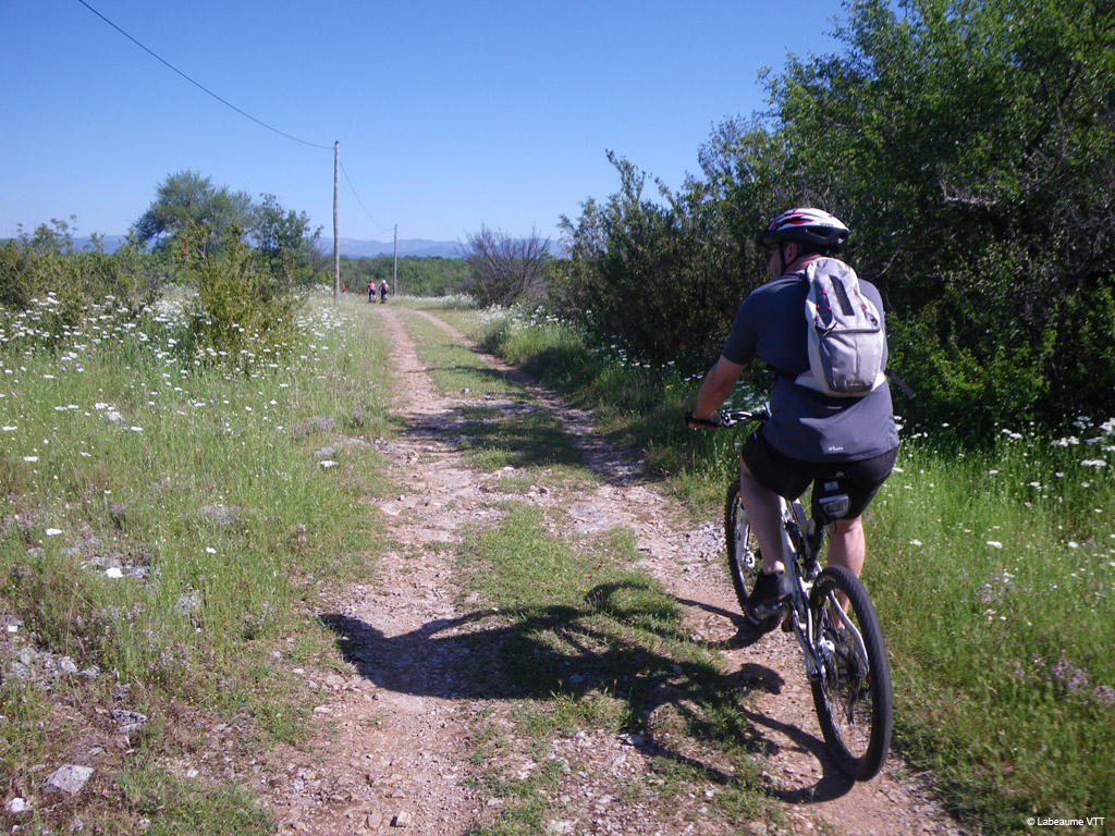 20100523_070