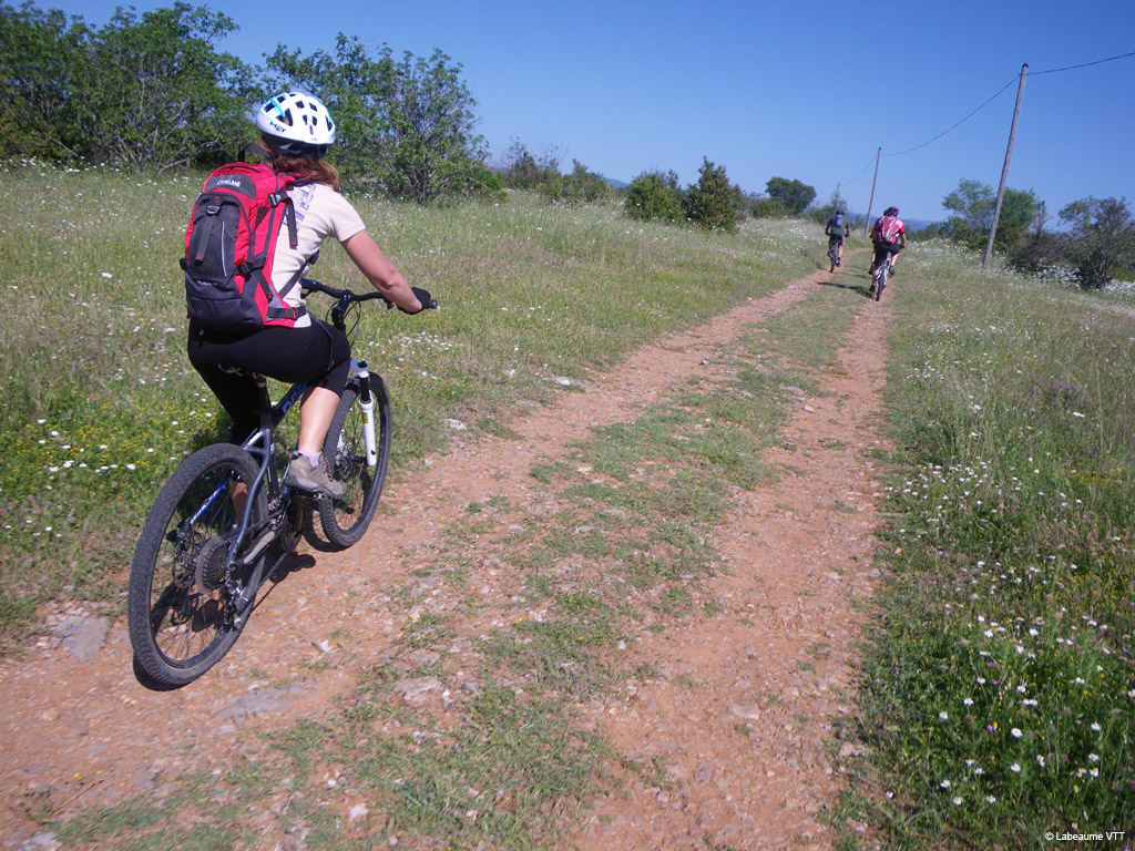20100523_072