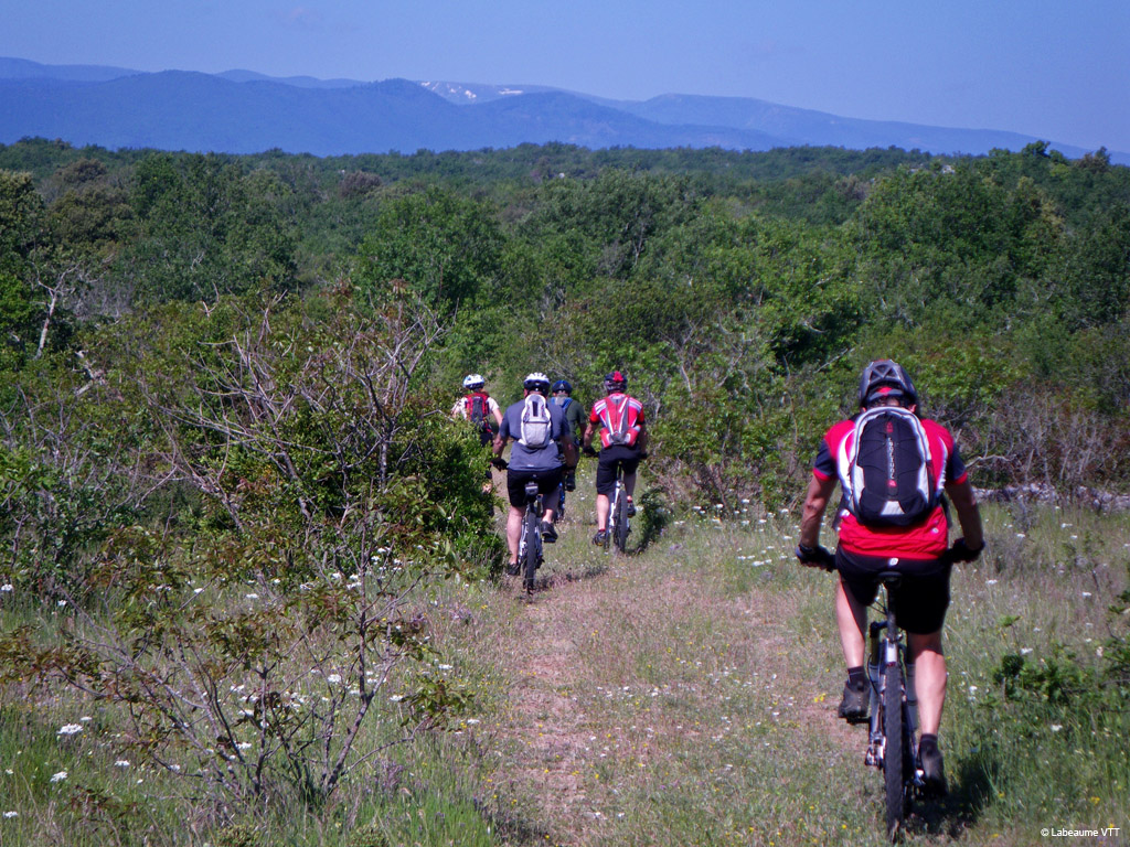 20100523_079