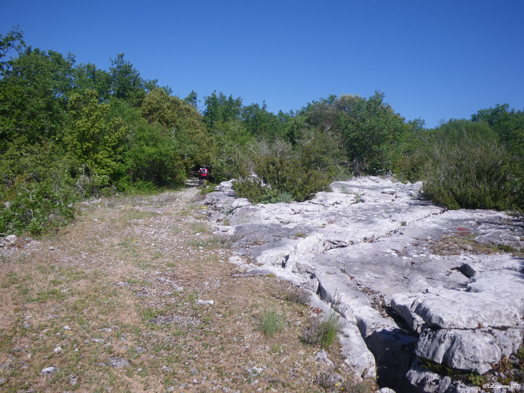 20100523_082