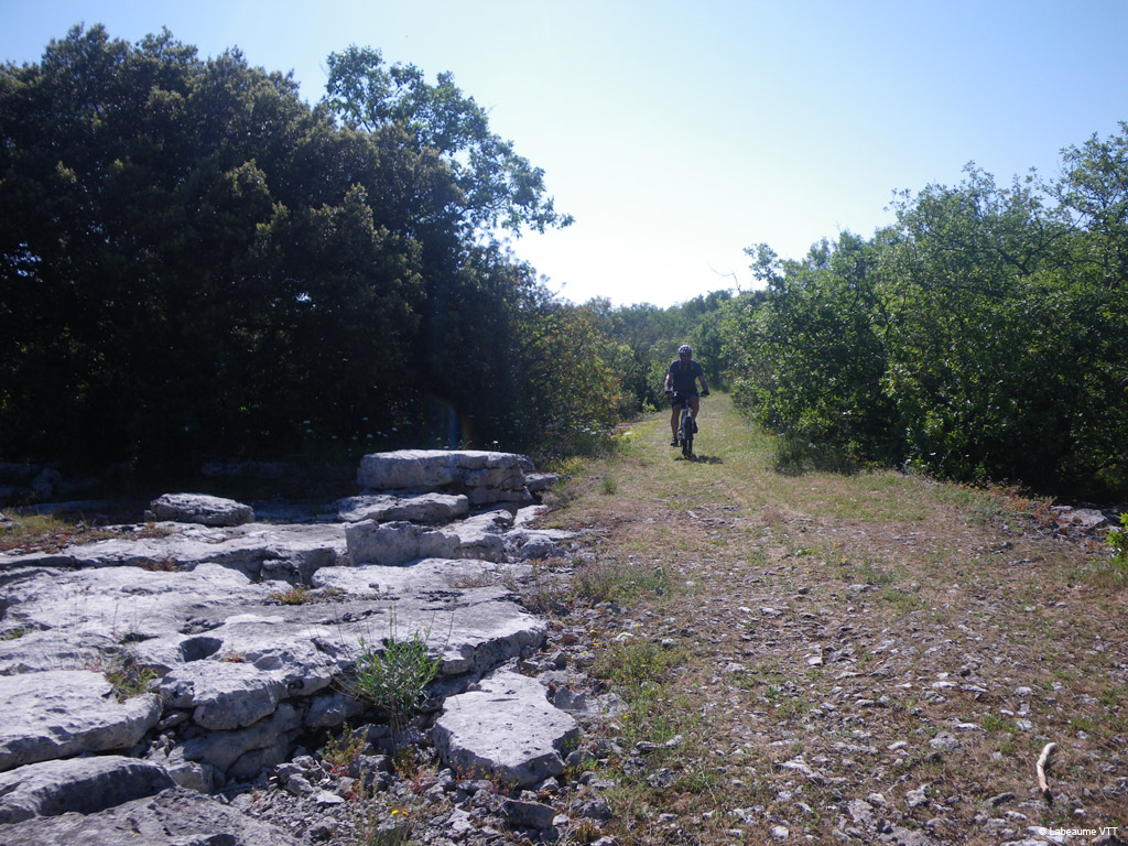 20100523_083