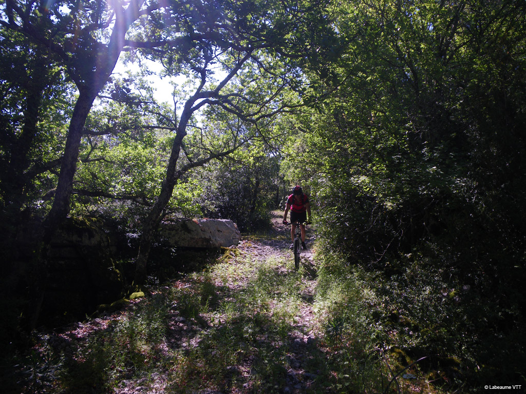 20100523_084