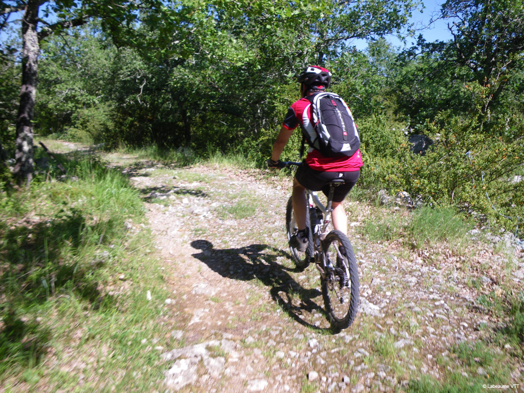 20100523_089