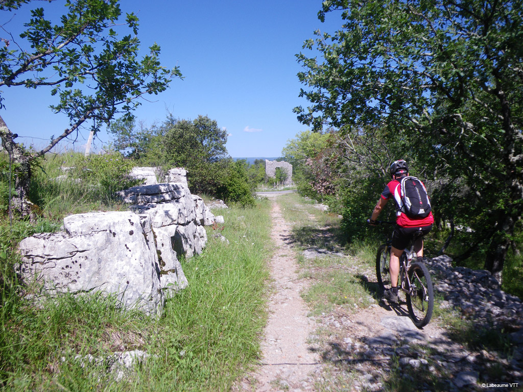 20100523_091