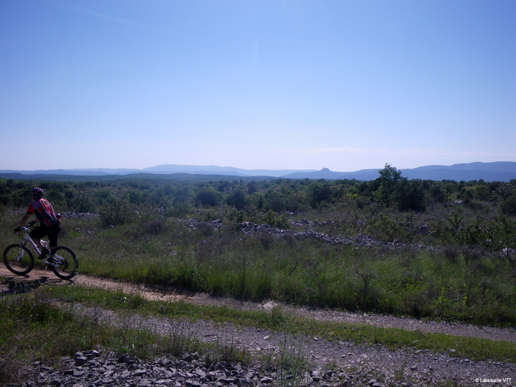 20100523_097