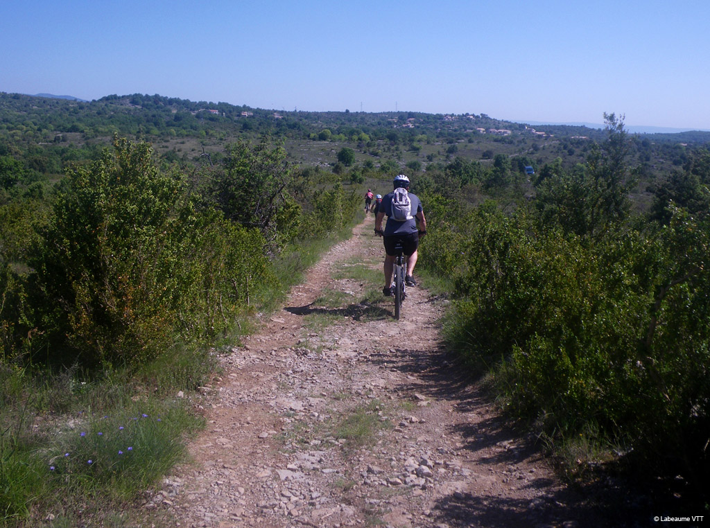 20100523_119
