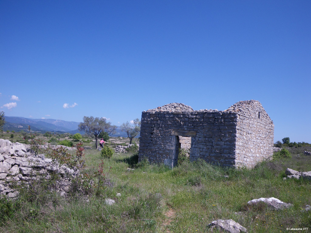 20100523_131