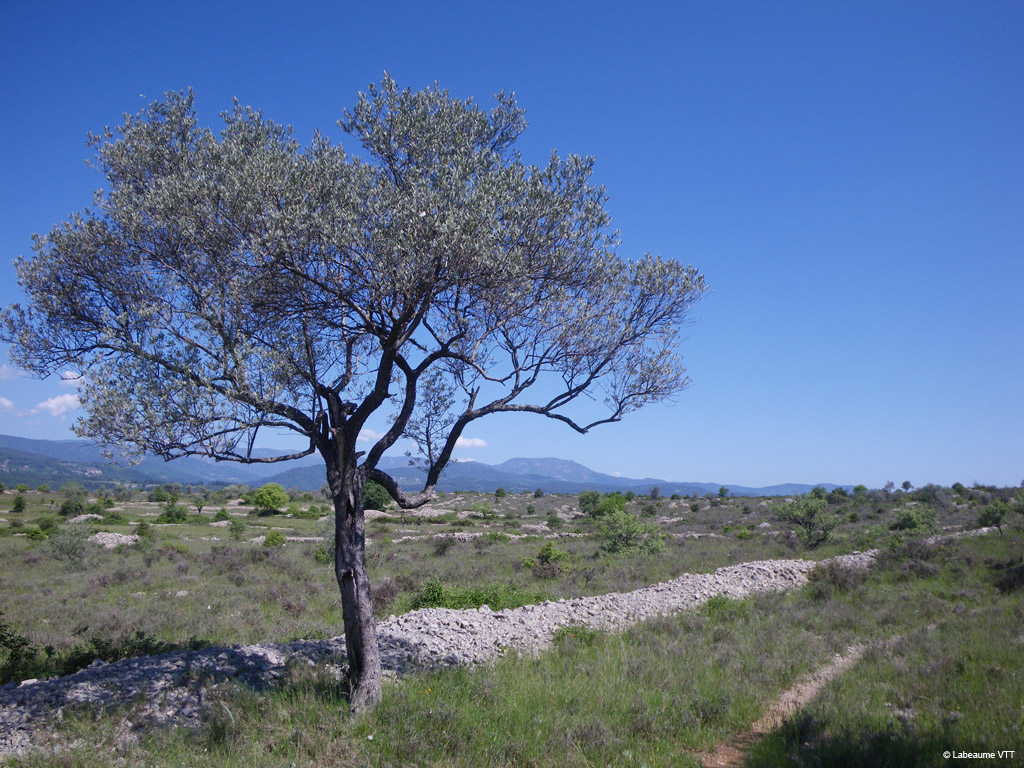 20100523_132