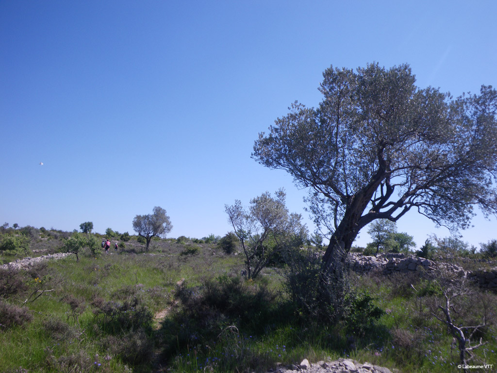 20100523_133