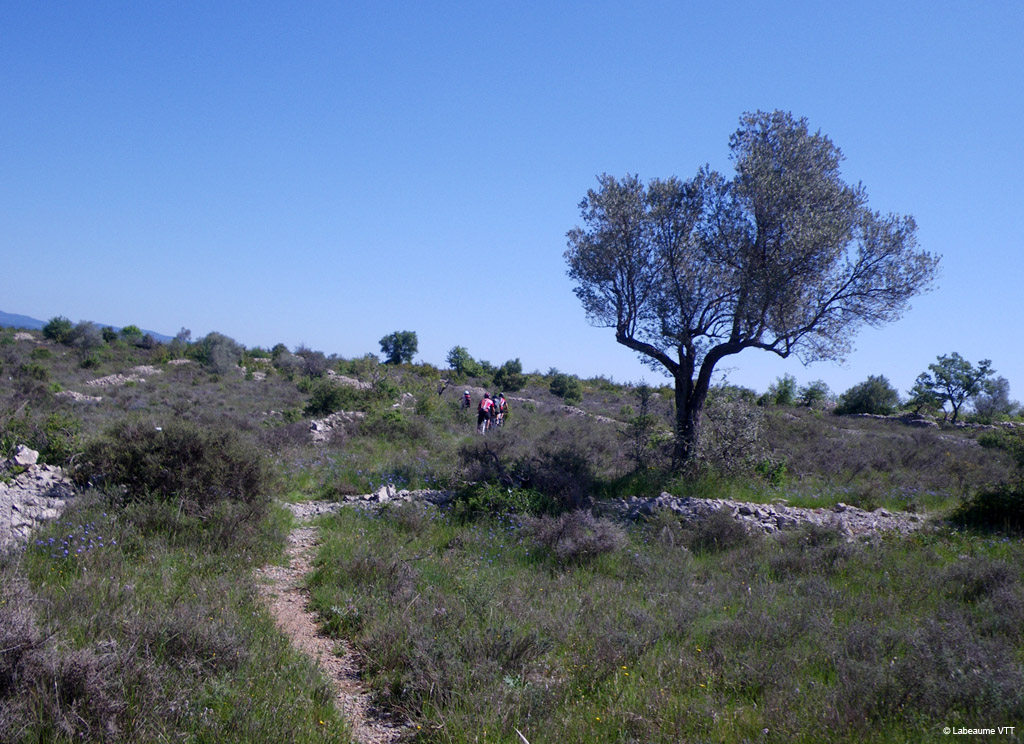 20100523_134