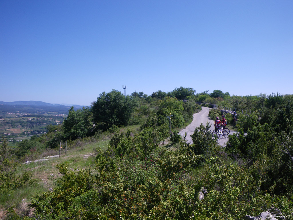 20100523_147