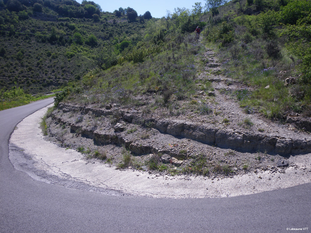 20100523_156