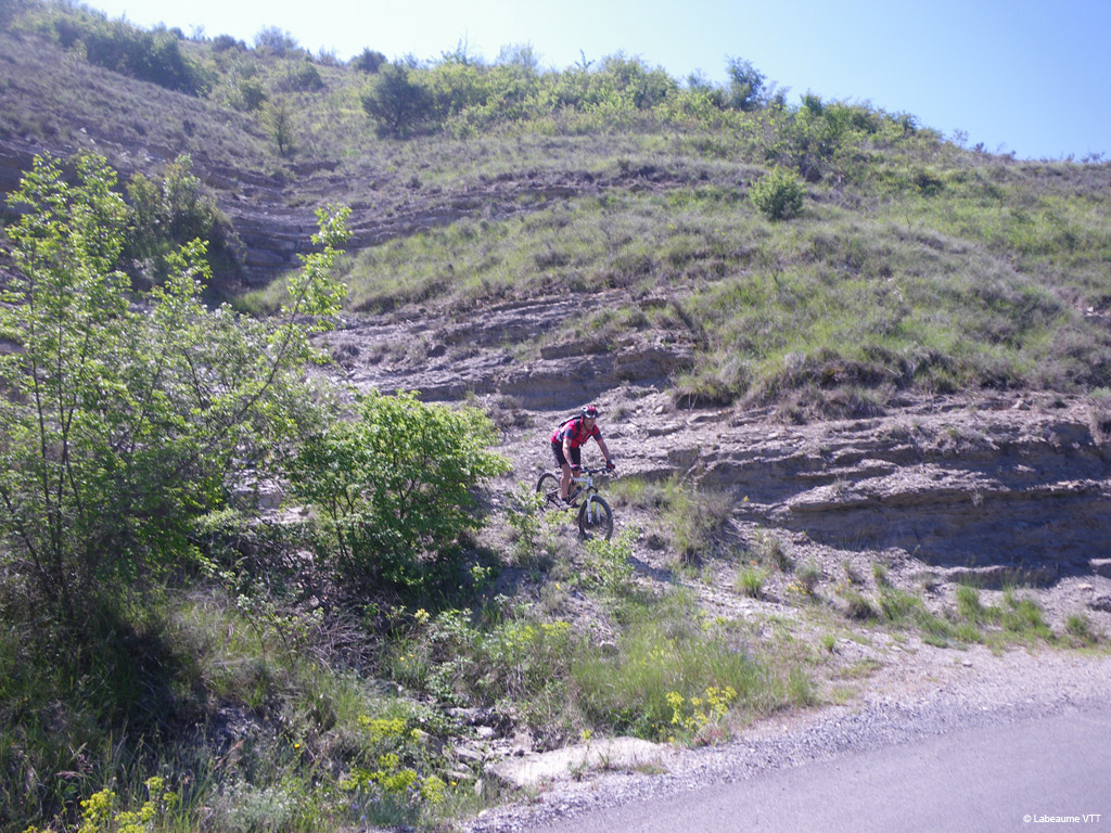 20100523_160