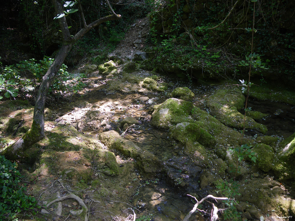 20100523_198