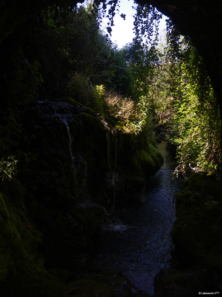 20100523_199