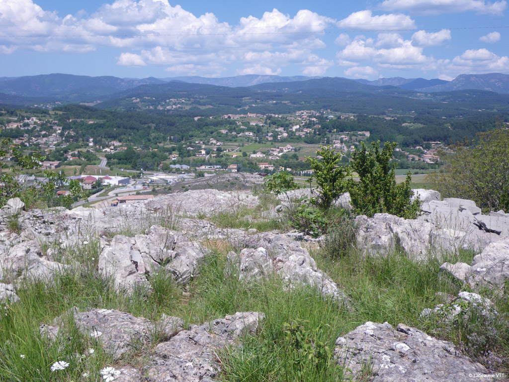 20100523_208