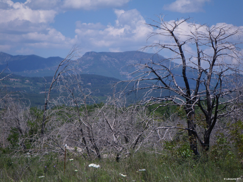 20100523_212
