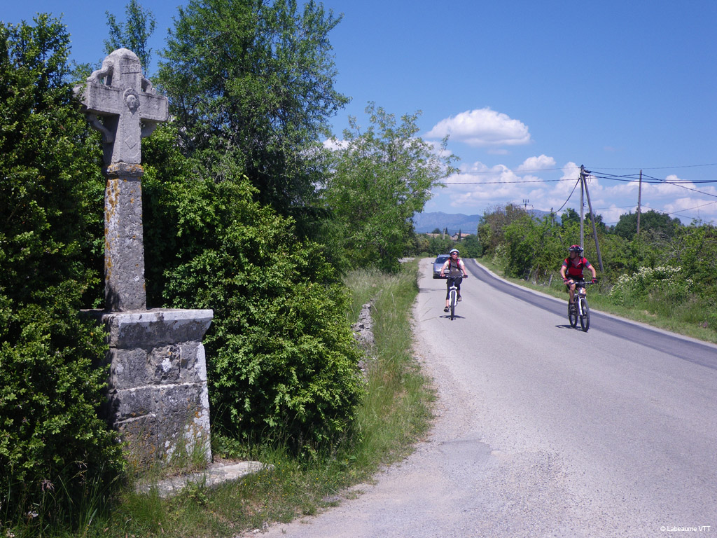 20100523_216