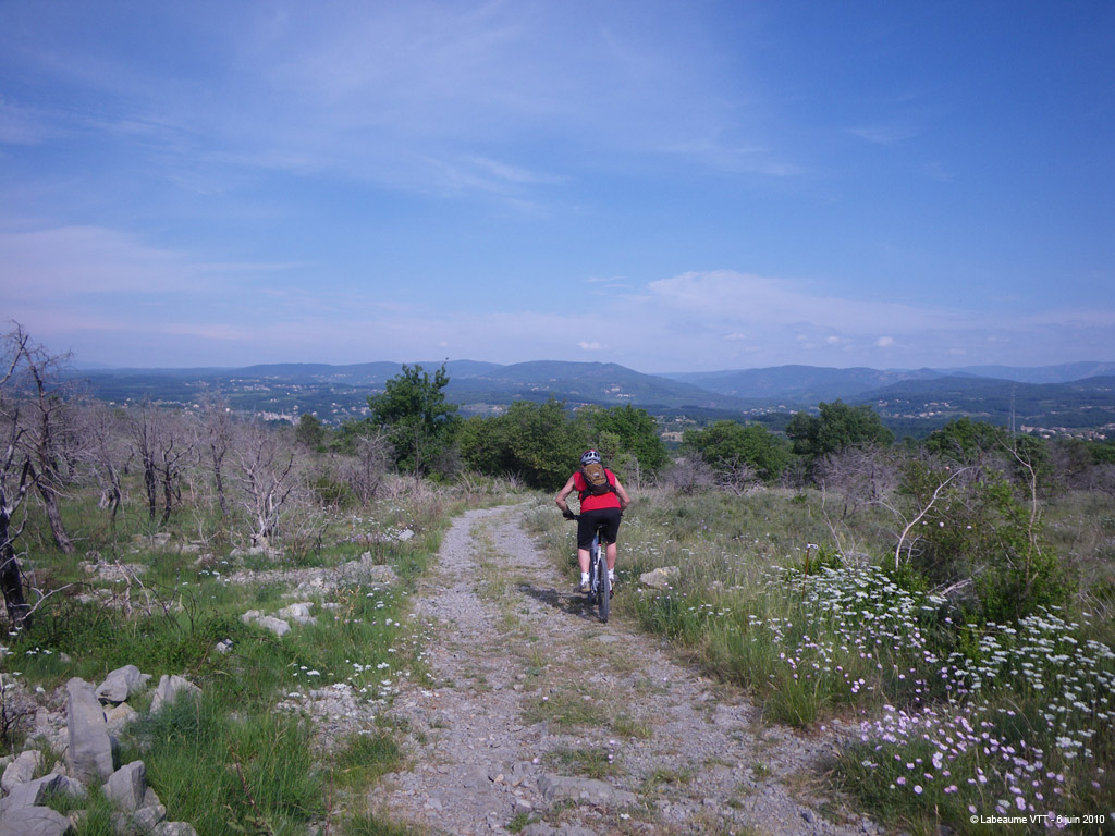 20100606_021