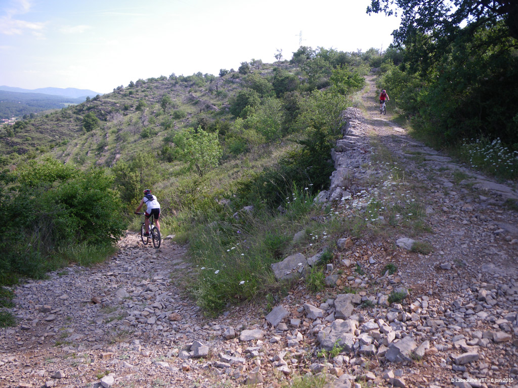 20100606_026