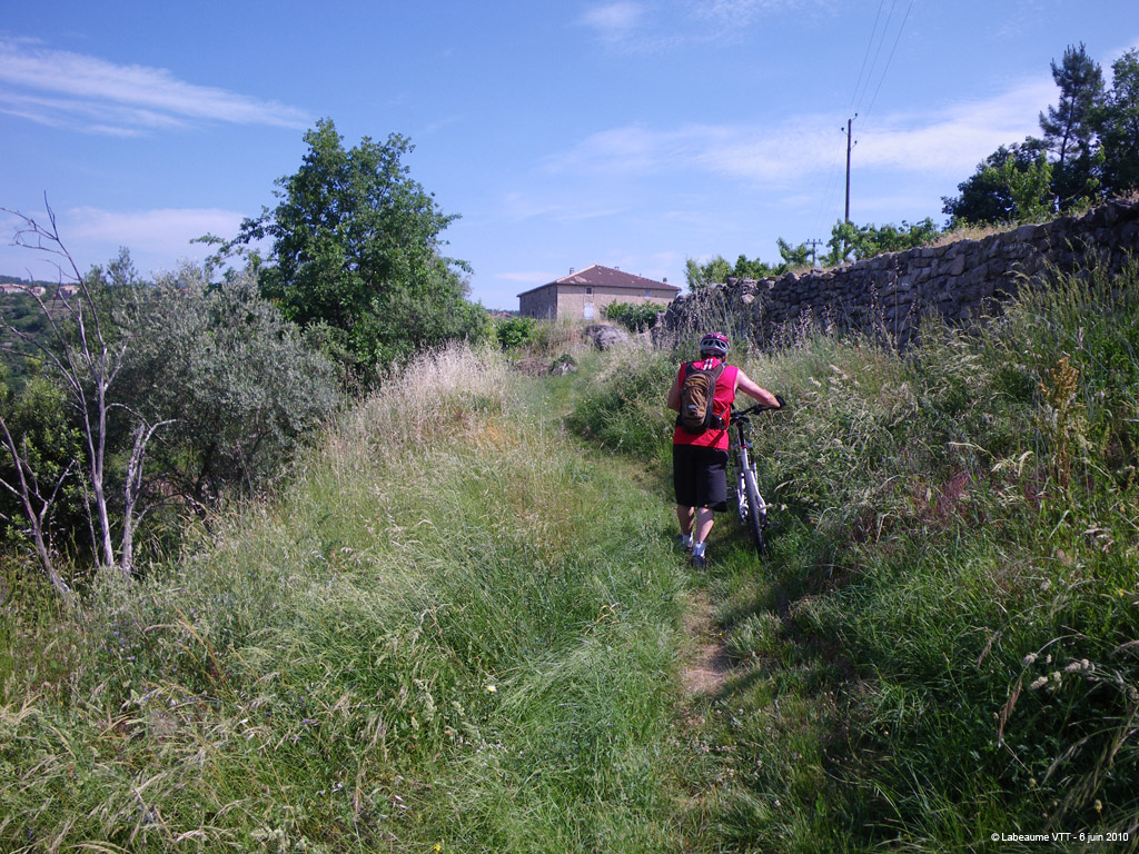 20100606_058