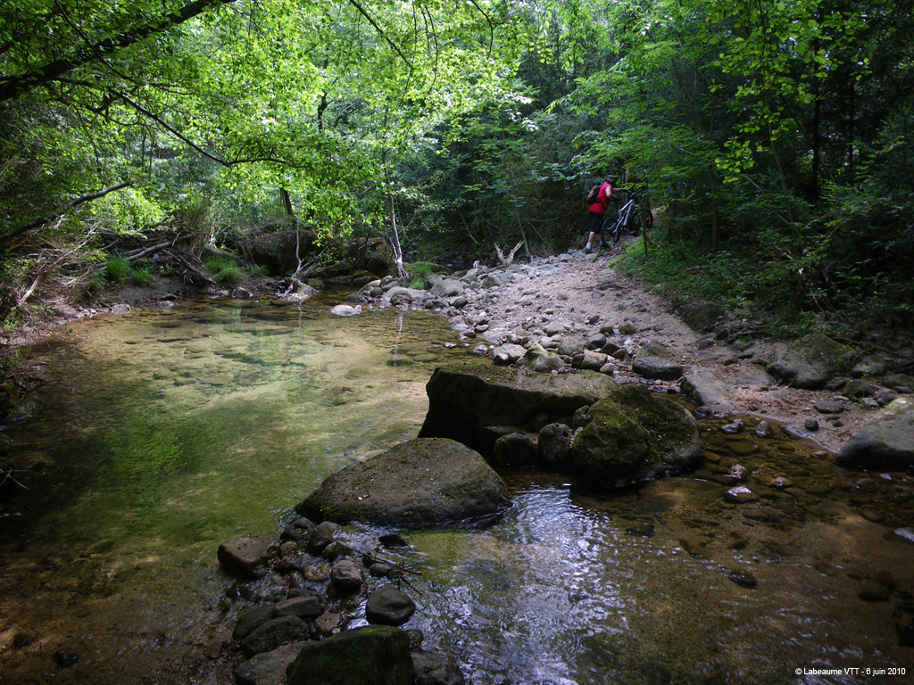 20100606_091