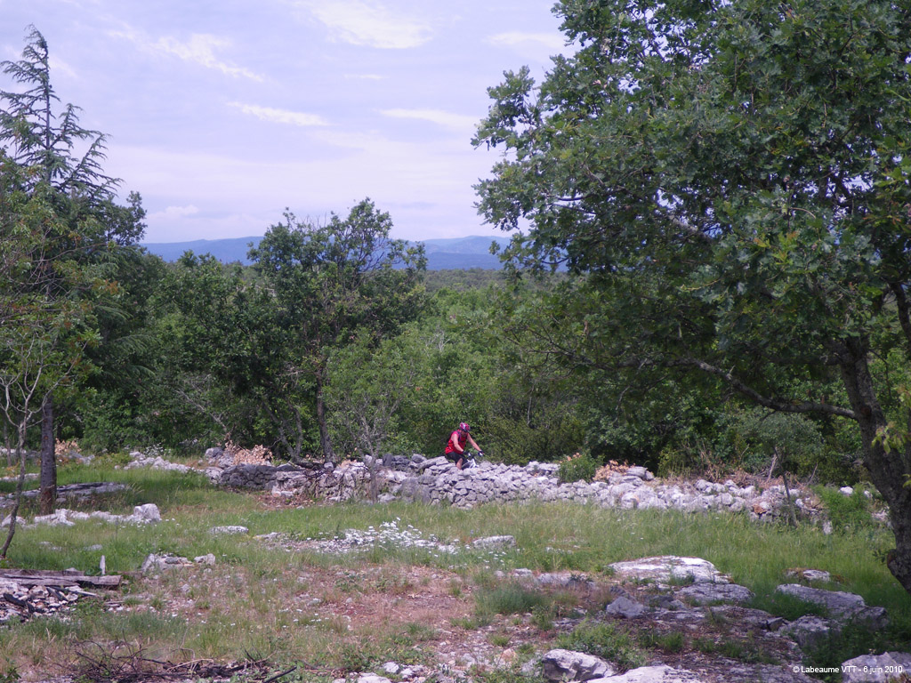 20100606_120