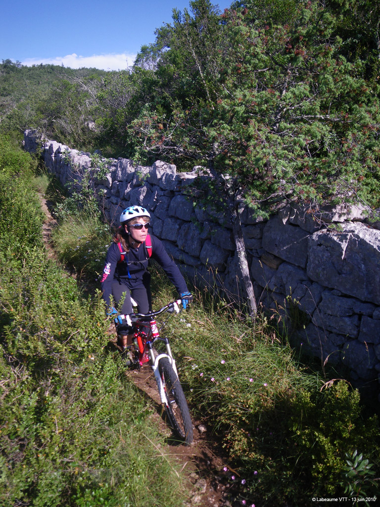 20100613_005
