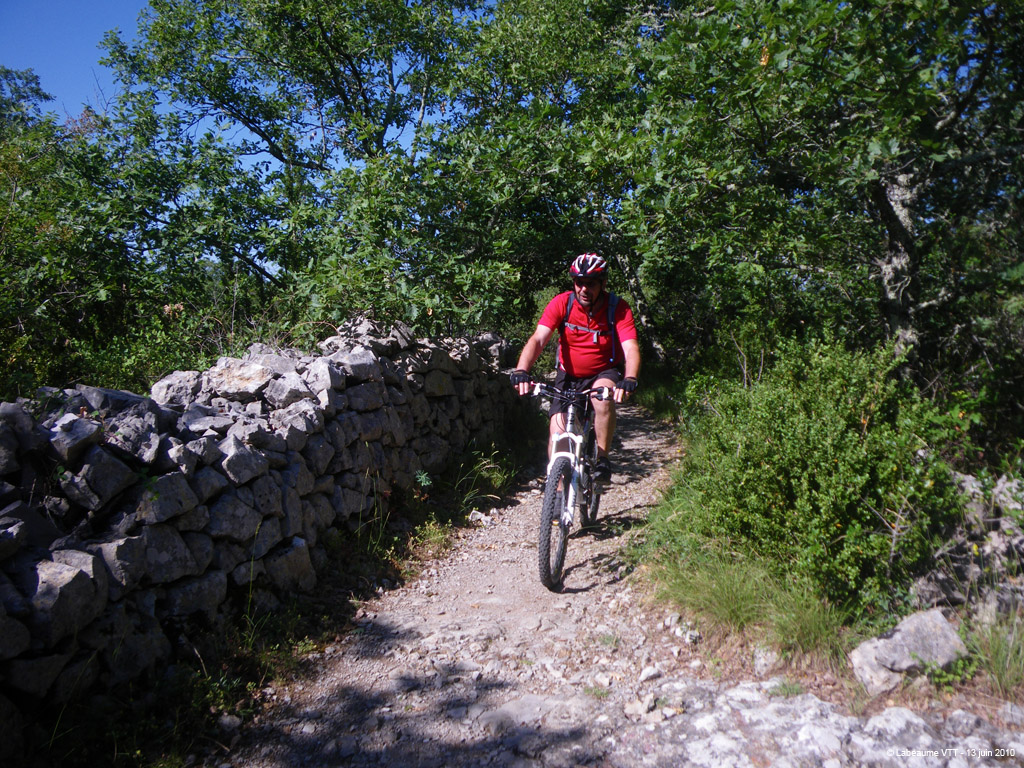 20100613_042