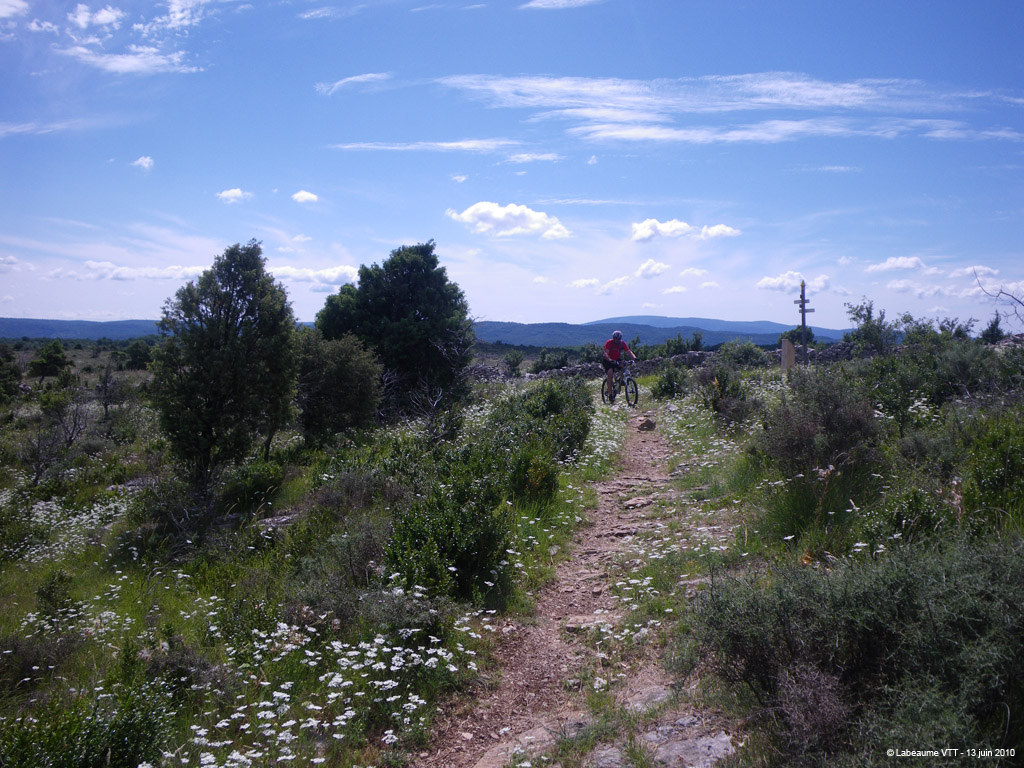 20100613_110