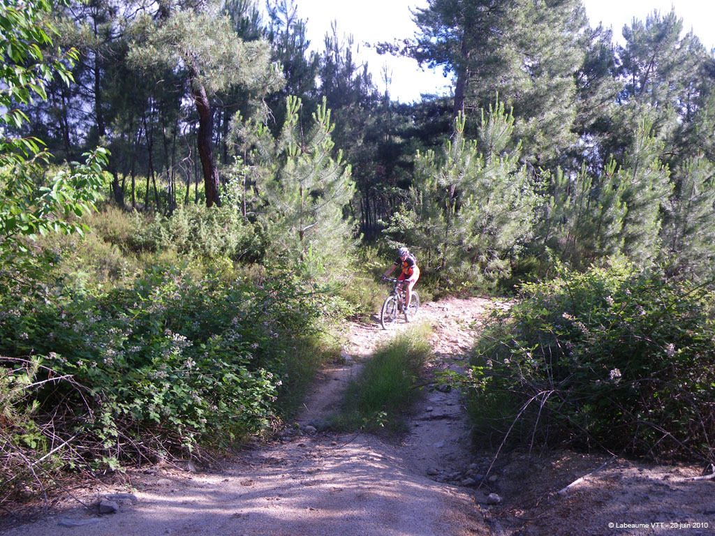 20100620_031