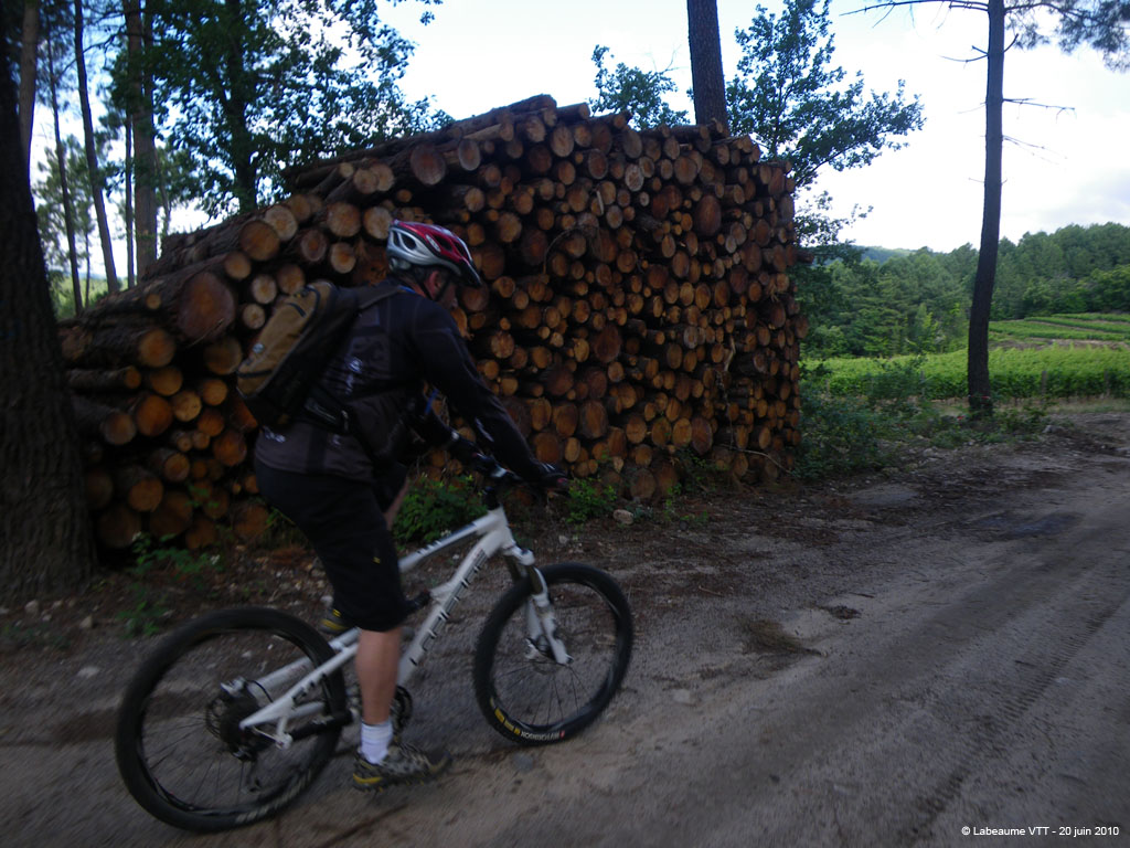 20100620_045